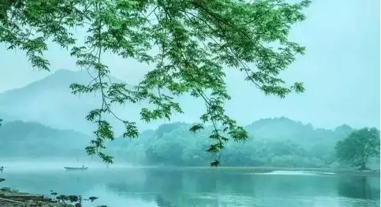 QQ图片20170807105300.png