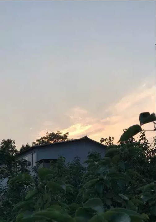 QQ图片20170807114644.png