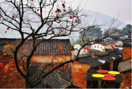 QQ图片20181022092312.png