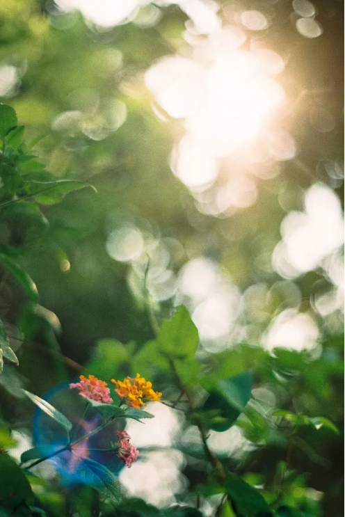 QQ图片20190619090239.png