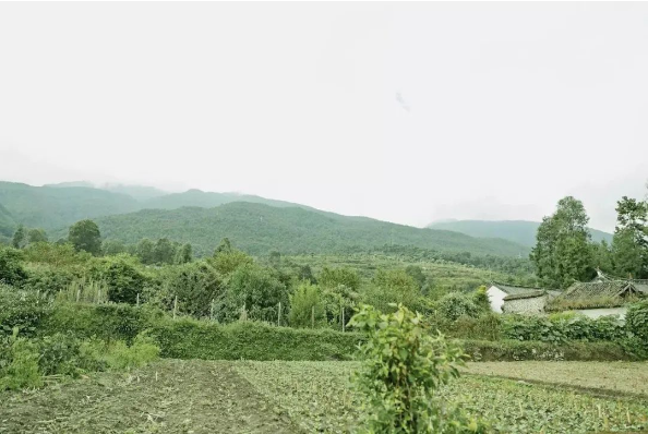 QQ图片20200610111345.png