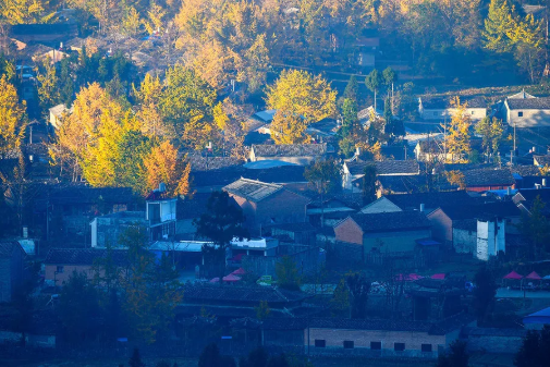 QQ图片20200810142040.png