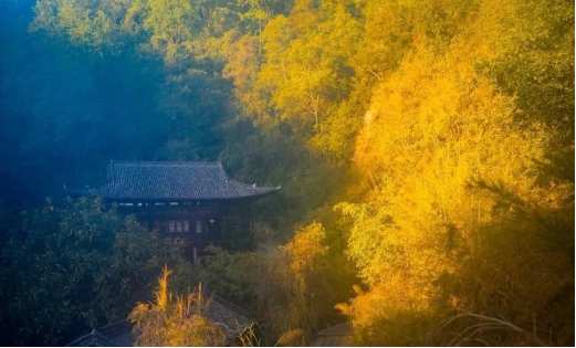 QQ图片20200810142331.png