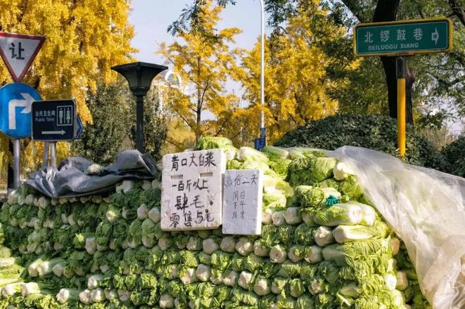 QQ图片20201113095124.jpg