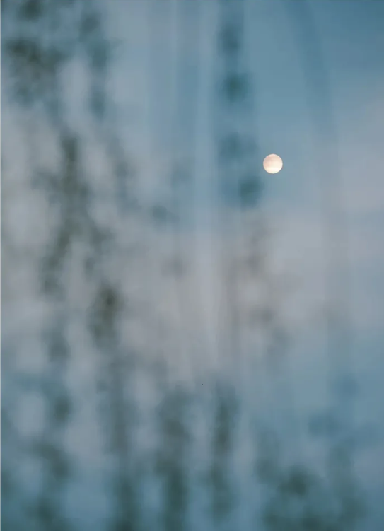 QQ图片20210408110418.png