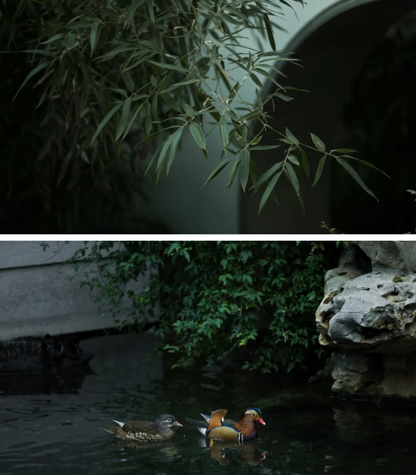 QQ图片20210408110720.png