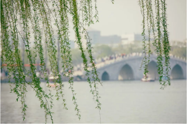 QQ图片20230317143946.png