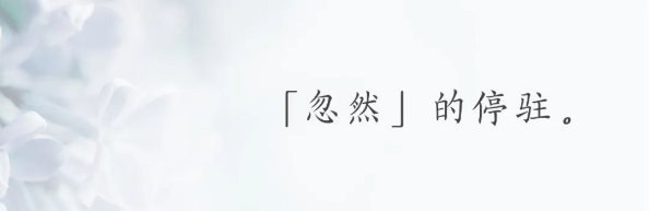 QQ图片20230613153245.png