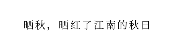 QQ图片20231011101439.png