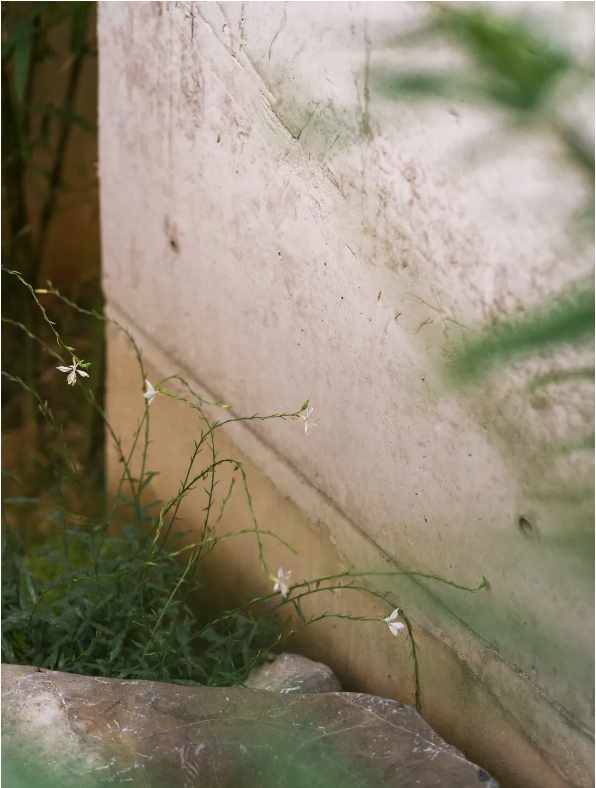 eed3247f-ee5a-4ae4-8d3b-9fa533b2c12d.png