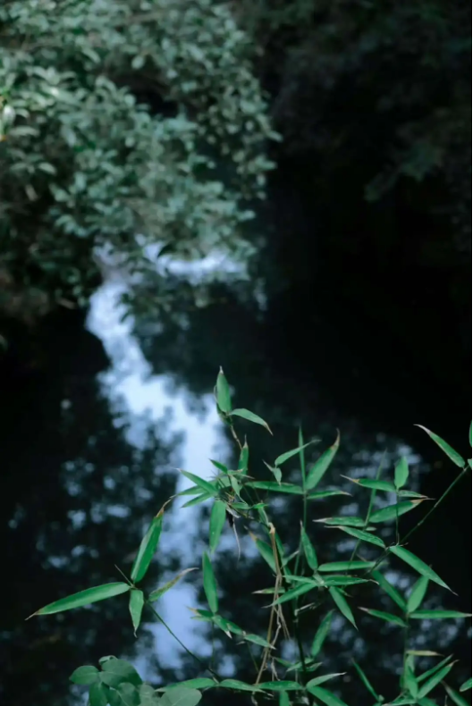 031b538c-d226-4735-9ff0-a301fb4df02b.png