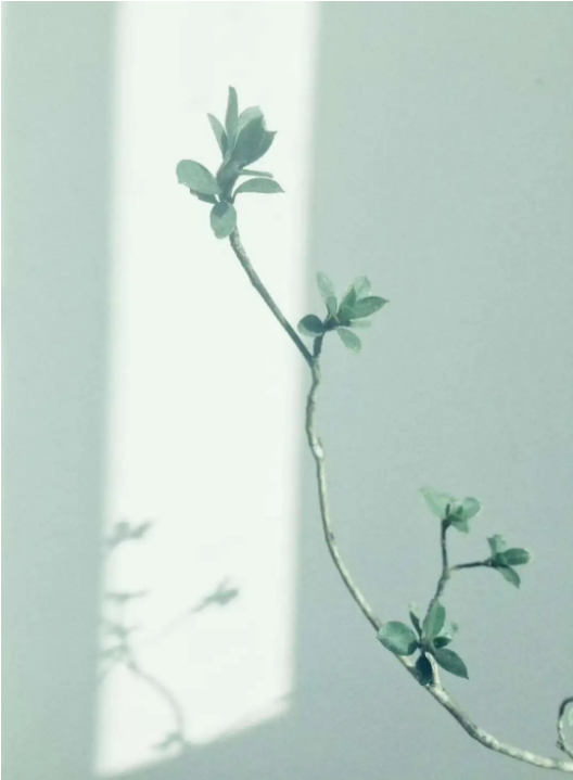fa8f78e0-aa3a-474f-b787-a3e3d80c3d4a.png