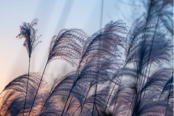 d1b90670-ec05-4f68-9d4a-7ca0a238a5e1.png