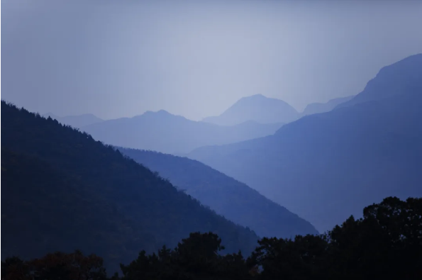 fe6a2bbb-f65e-4451-bdbe-8a36f496544d.png