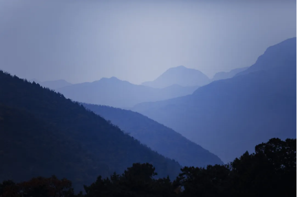 a39df69b-9094-4f35-87da-4d9ee7c3fc8a.png