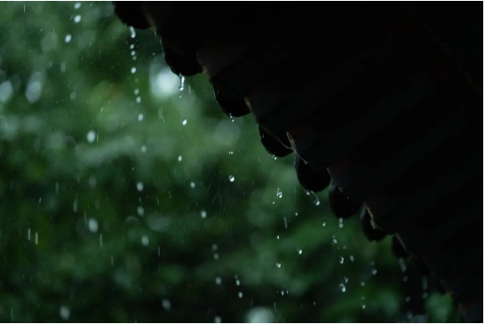 1761270710106895.png QQ_1761025794457.png