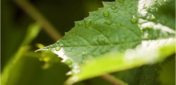 1761270874999843.png QQ_1761025956730.png