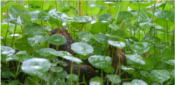 1761270897105888.png QQ_1761025969641.png