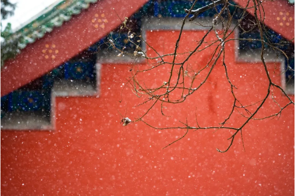 1765955612110419.png QQ_1765955487492.png