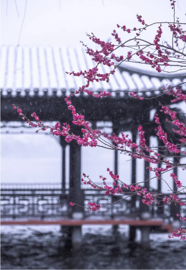 1765955626711315.png QQ_1765955391714.png