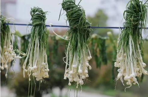 1766128720670176.png QQ_1766128323600.png