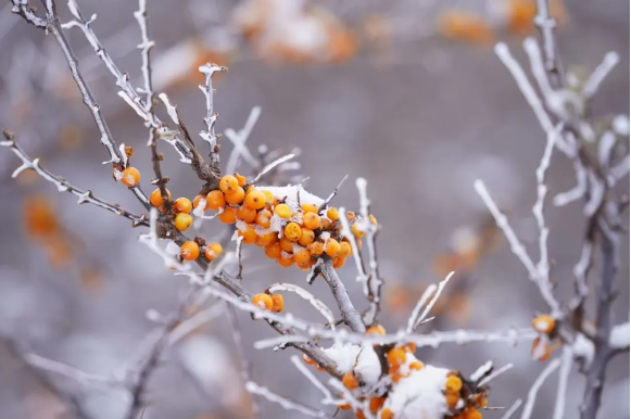 1766128765757359.png QQ_1766128388040.png