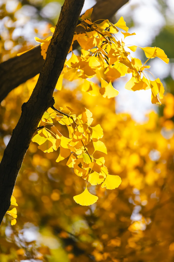 1768374963460698.png QQ_1768374439426.png