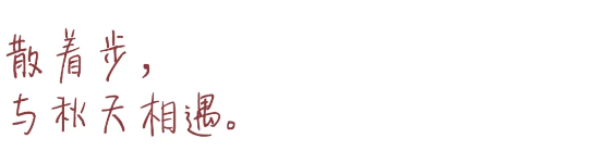 1768374973194159.png QQ_1768374465142.png