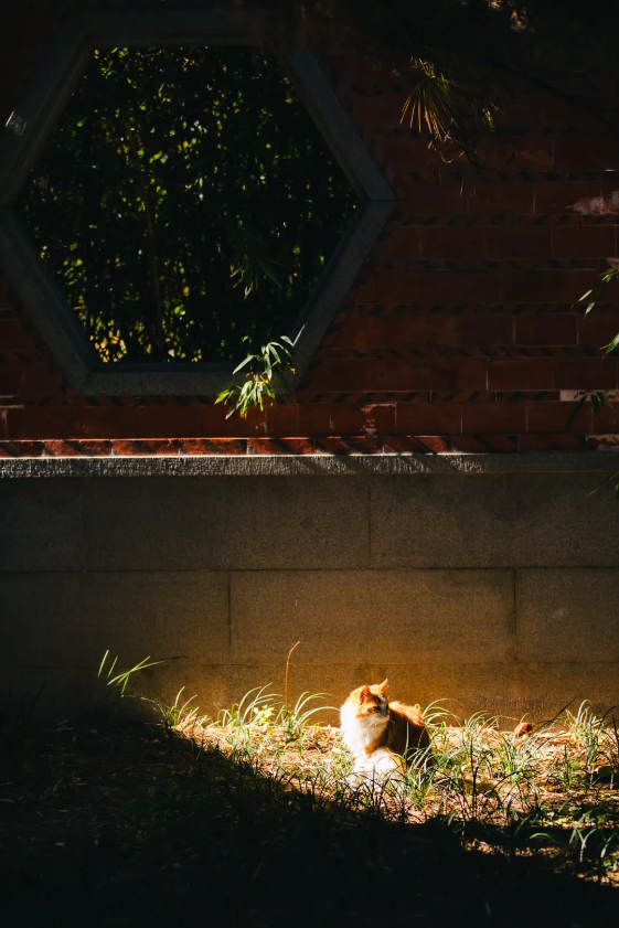 1768374996188565.png QQ_1768374488528.png