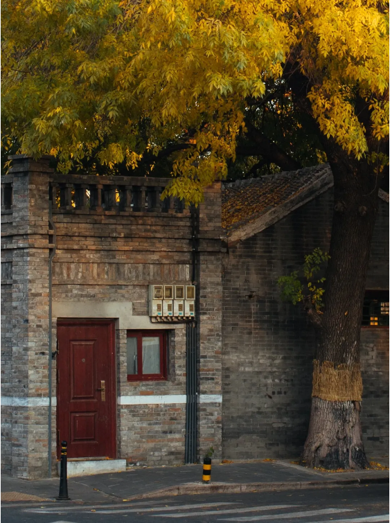 1768375082605930.png QQ_1768374643390.png