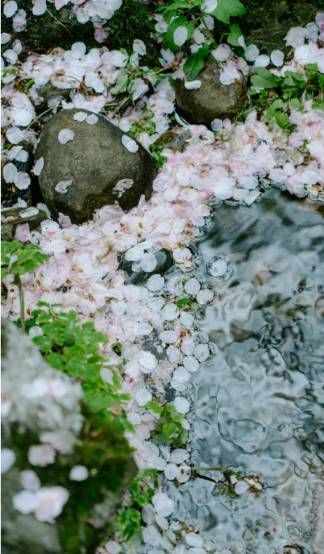 QQ_1778482177364.png