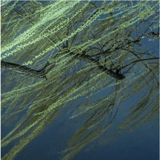 QQ_1778482315504.png