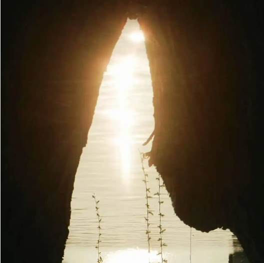 QQ_1778482330618.png