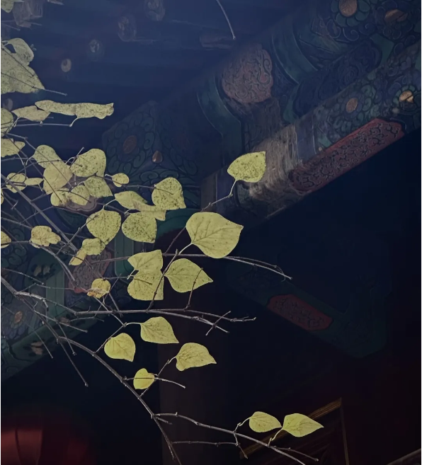 QQ_1789625358152.png